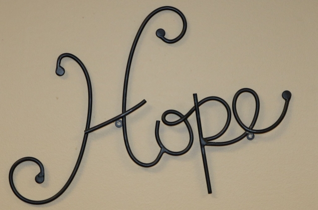 Horizon vaccinates over 1,500, spreads hope